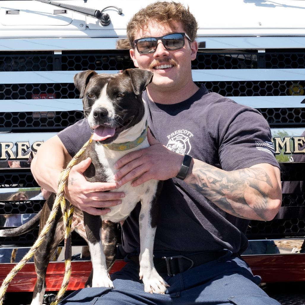 Enlarge Molly, a Adoptable Mixed Breed in Prescott, AZ image 5/6