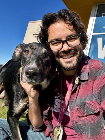 Enlarge Susan Grimshaw, a Adoptable mixed breed in Wichita, KS image 3/3