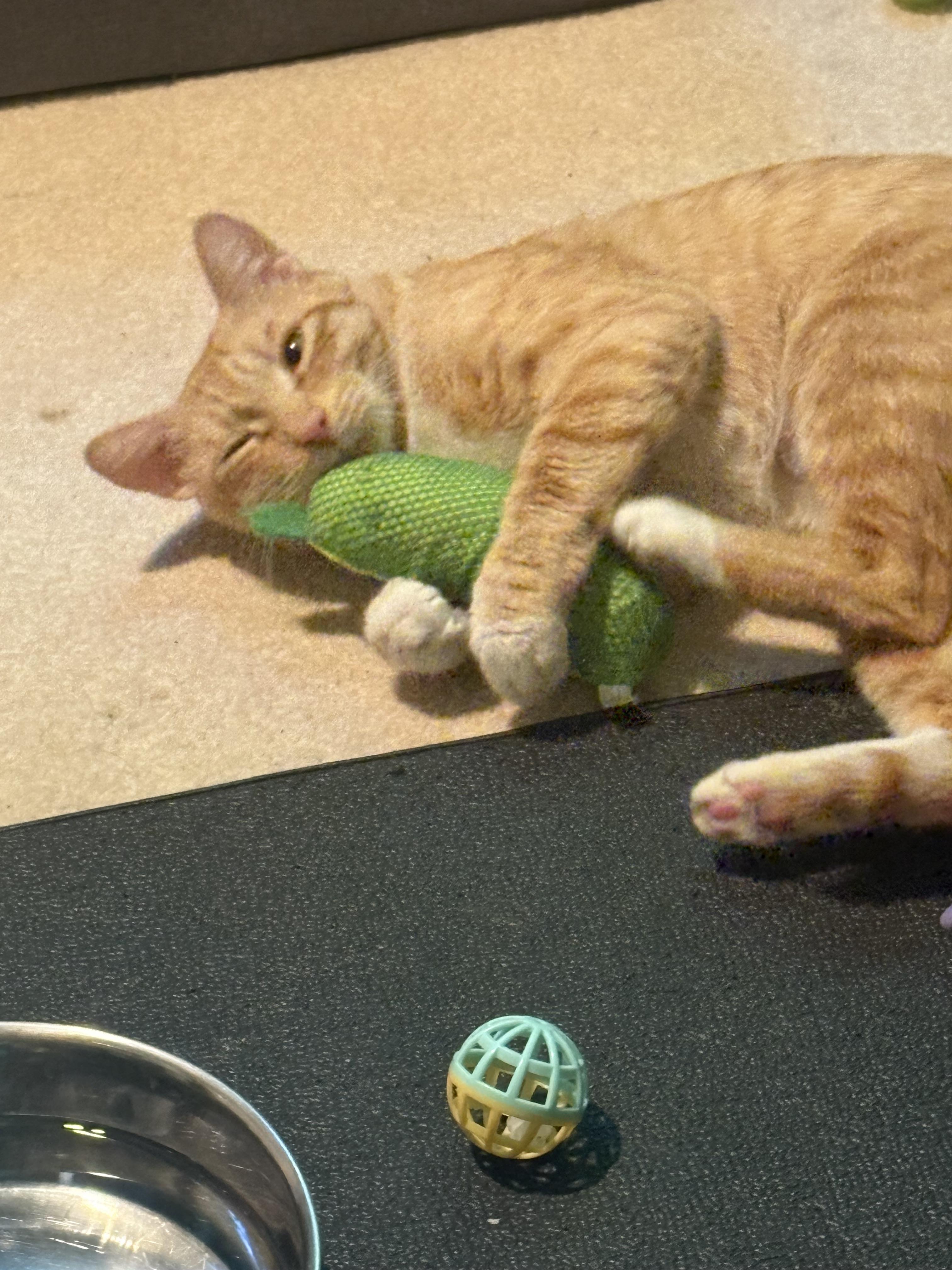 Peaches photo 5