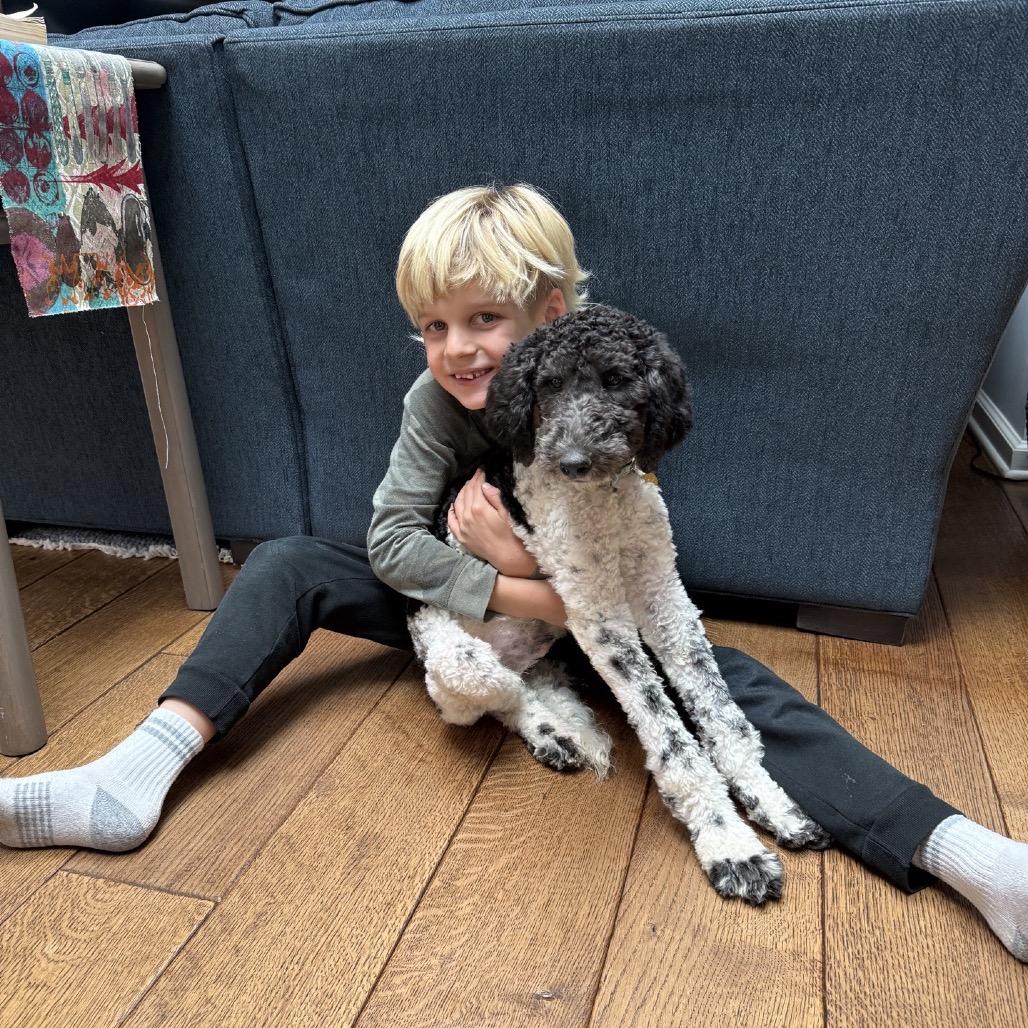 Pooty Poo, a Adoptable mixed breed in Northbrook, IL image 5/6