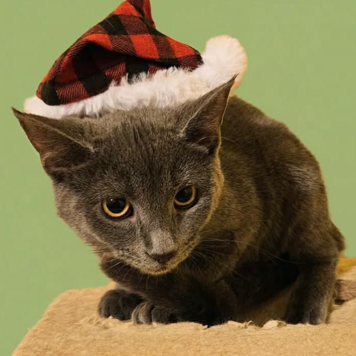 Autumn P. Squash — thumbnail 2