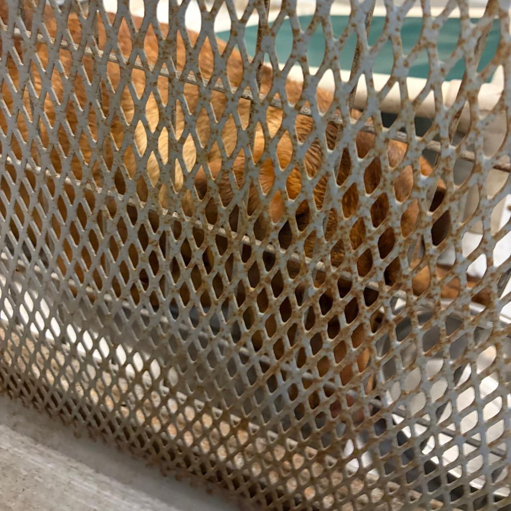 Enlarge Big Red KCAC #300.26, a Adoptable mixed breed in Kerrville, TX image 5/5