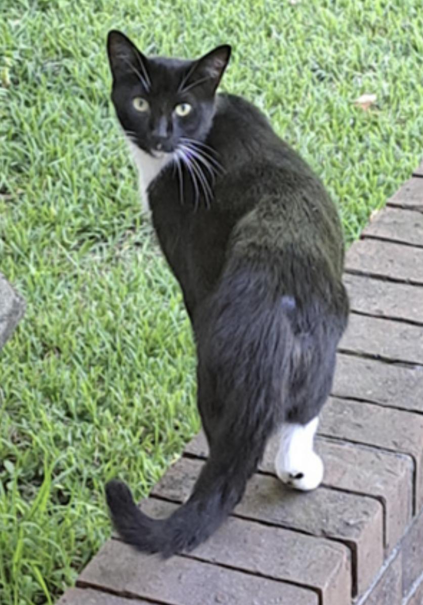 Cali and Tommy — thumbnail 2