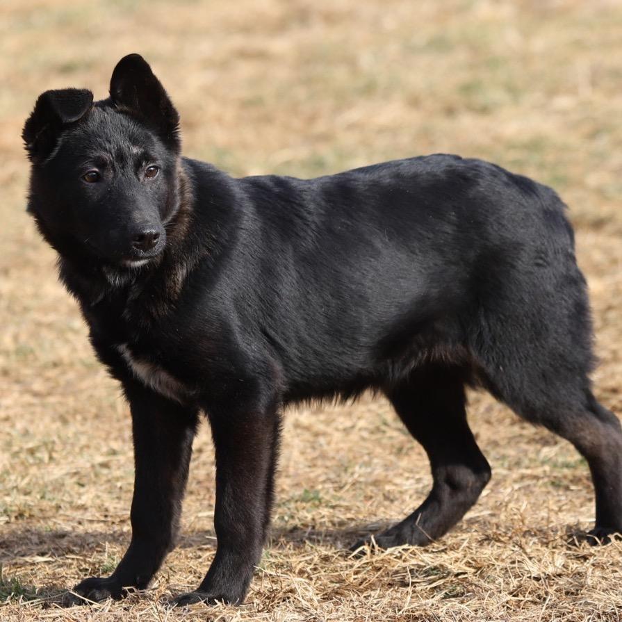 Coco — thumbnail 2