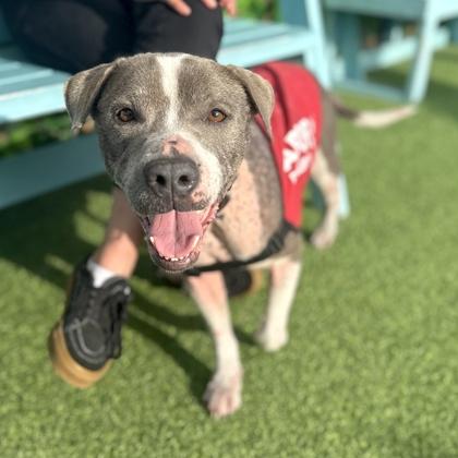 Mouse — thumbnail 2