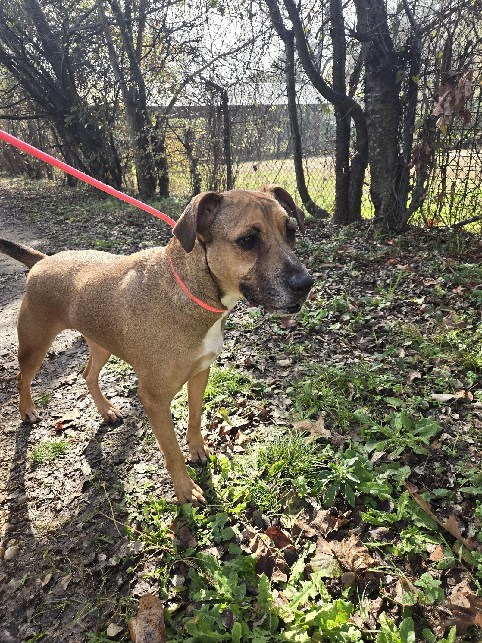 Nannerz — thumbnail 2