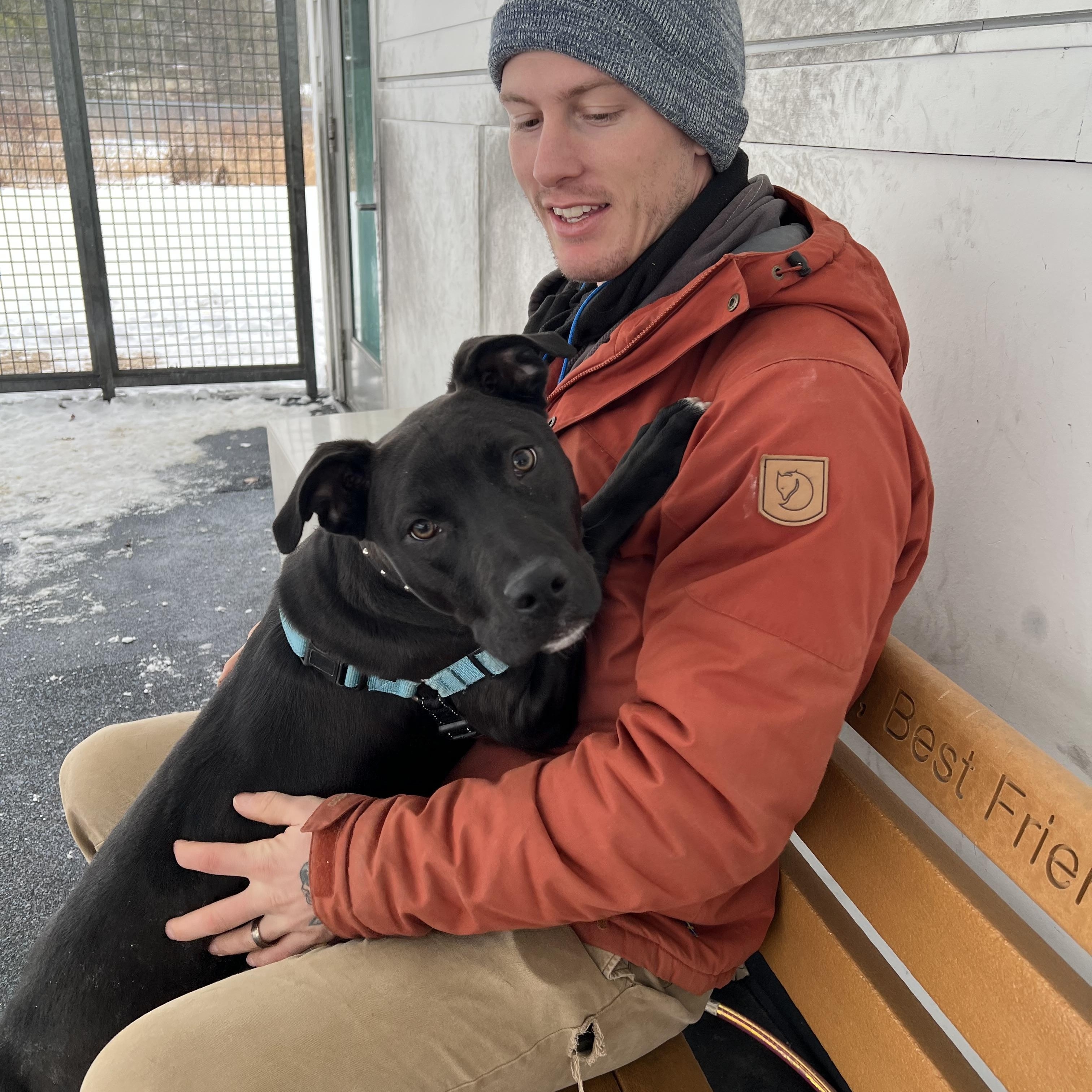 Enlarge Licorice , a ADOPTABLE mixed breed in Ithaca, NY image 4/4