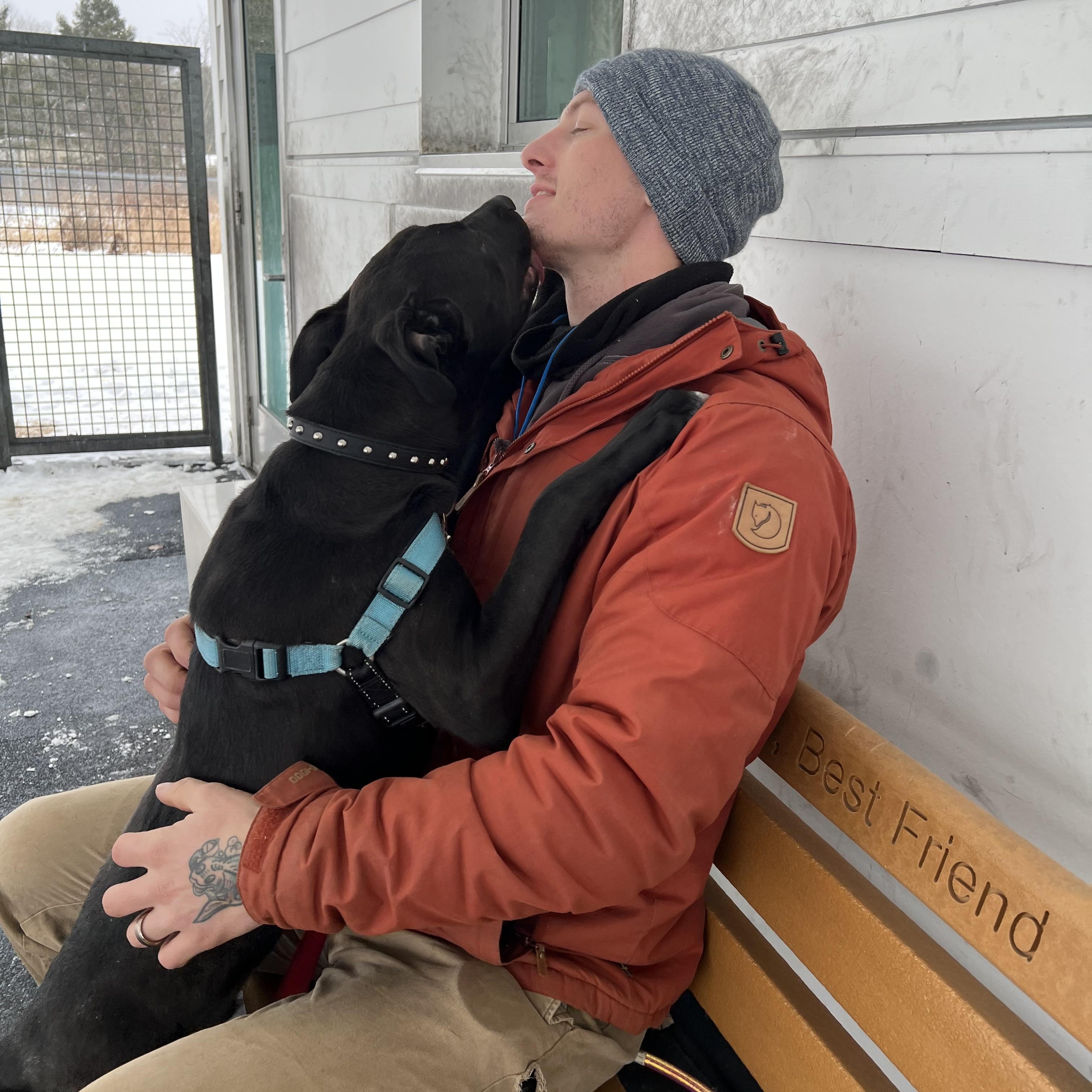 Enlarge Licorice , a ADOPTABLE mixed breed in Ithaca, NY image 2/4