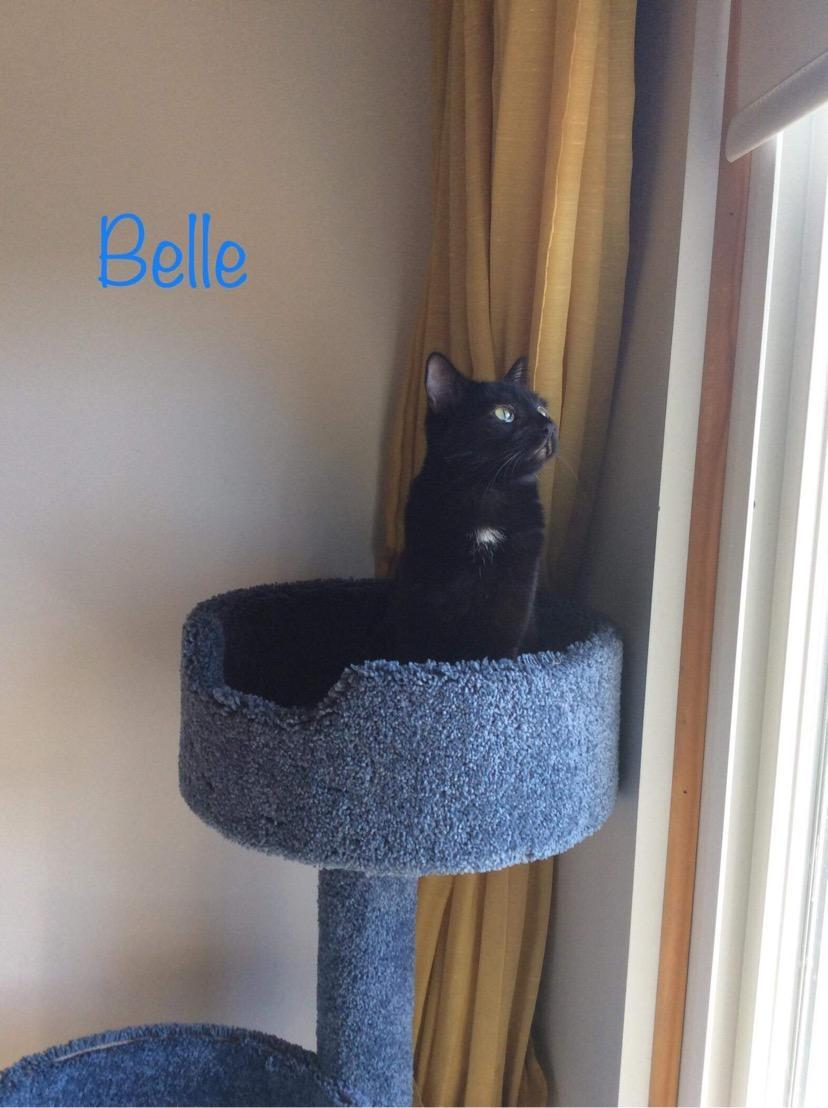 Belle K thumbnail 4