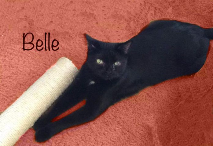 Belle K
