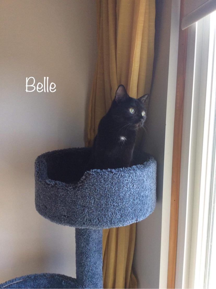 Belle K 0916 photo 2