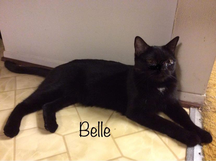 Belle K 0916 photo 5