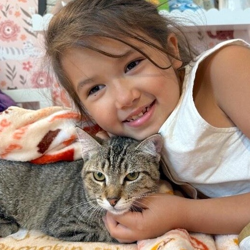 Enlarge Kitty Kat Candy, a Adoptable mixed breed in Cincinnati, OH image 5/6