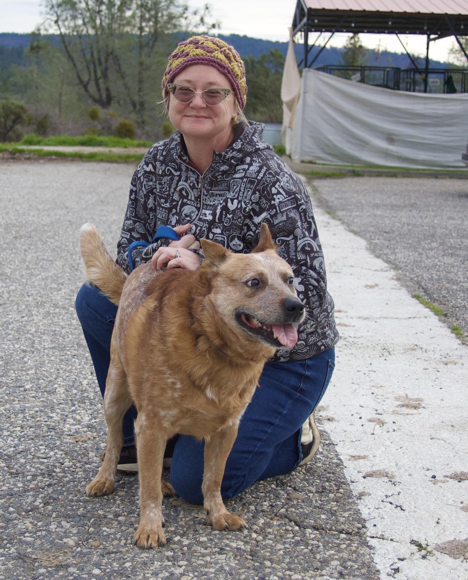 Gusty, an adopted mixed breed in Grass Valley, CA image 6/6