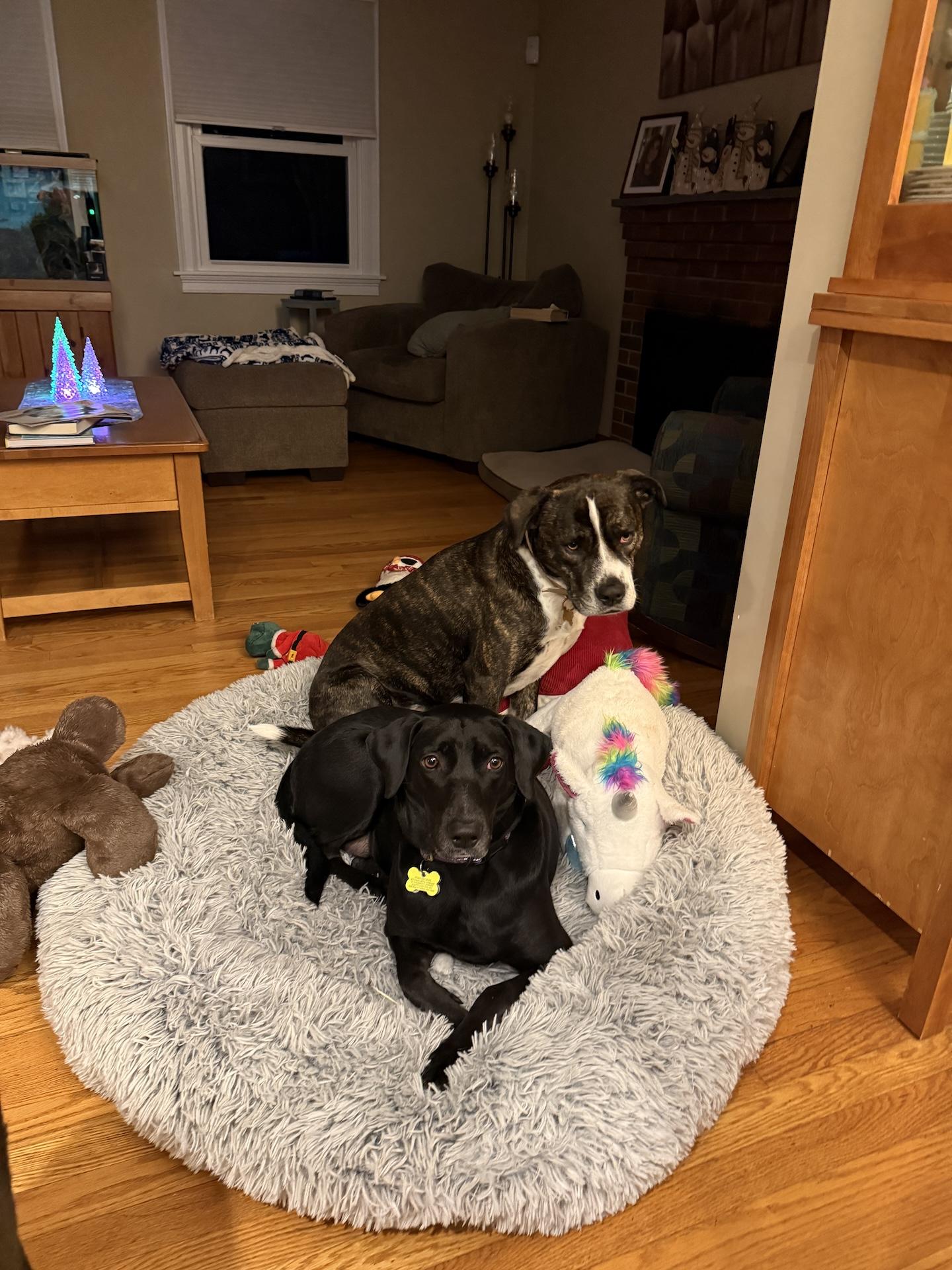 Fiona #7 — thumbnail 2