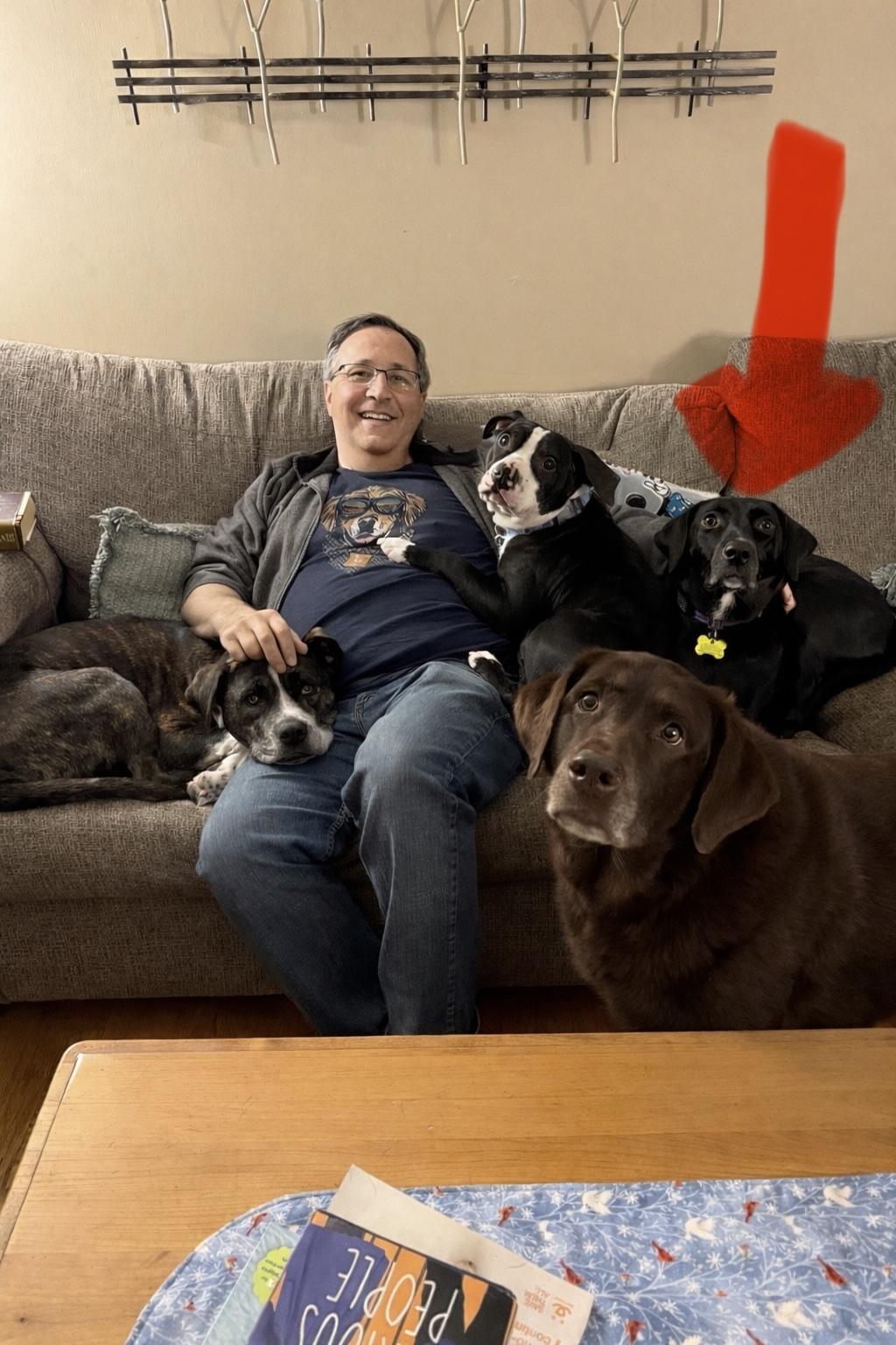 Fiona #7 — thumbnail 3