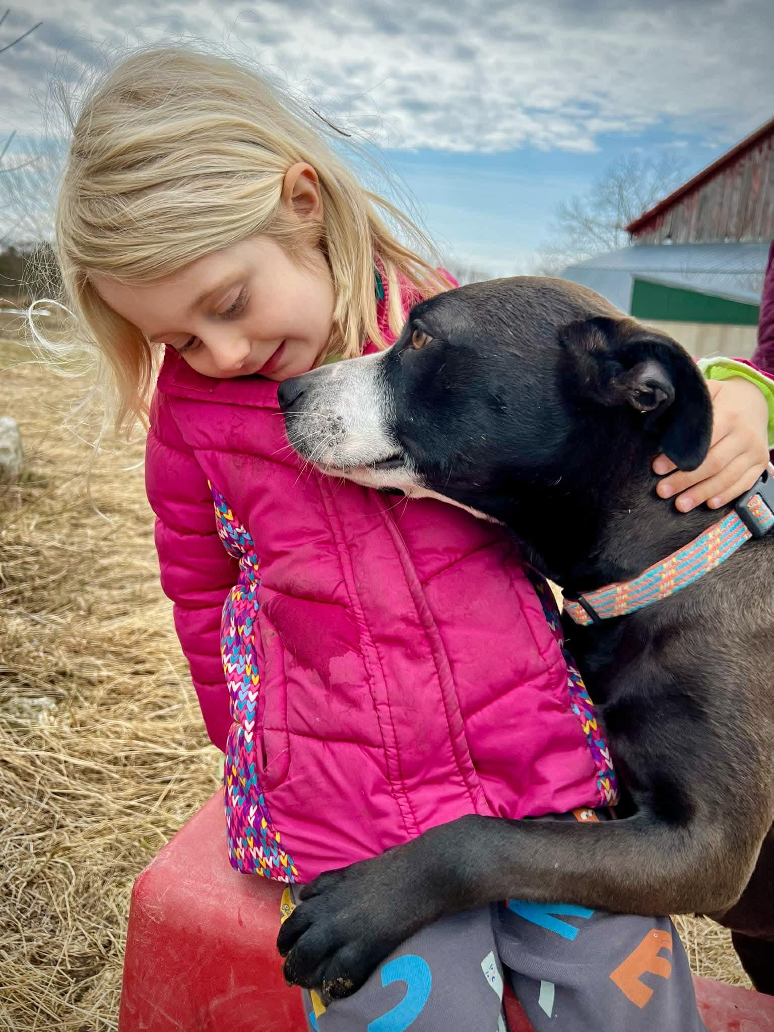 Enlarge CASHMERE - COURTESY POST, a ADOPTABLE mixed breed in Sheboygan, WI image 4/5