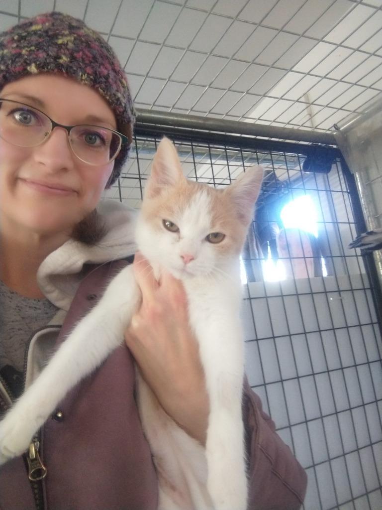 Enlarge Peach Fuzz, a Adopted mixed breed in Saint James, MN image 2/5