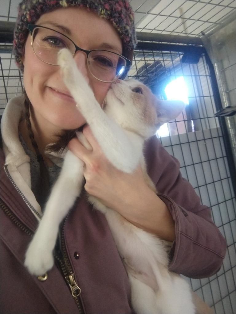 Enlarge Peach Fuzz, a Adopted mixed breed in Saint James, MN image 5/5