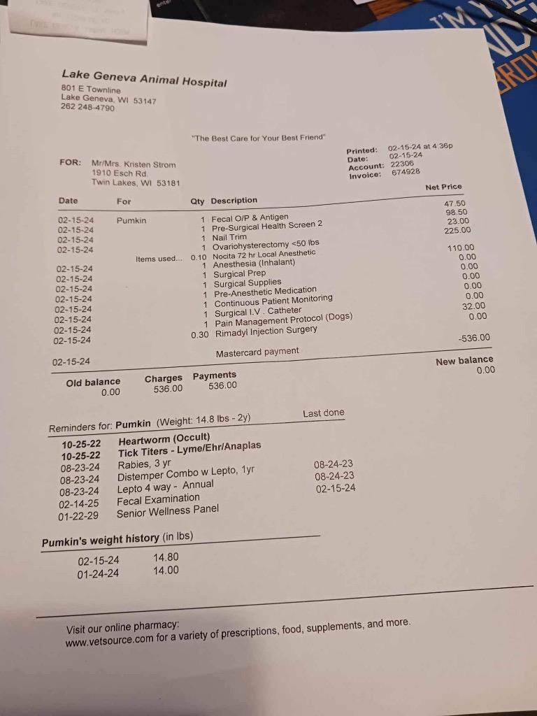 Pumpkin, a Adopted mixed breed in Bristol, WI image 3/4