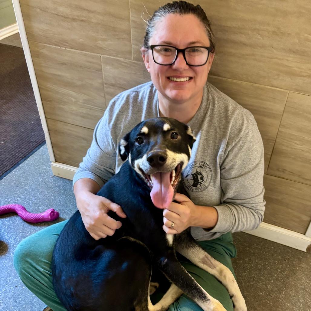 Enlarge Rowdy, a Adoptable mixed breed in Metamora, MI image 3/6
