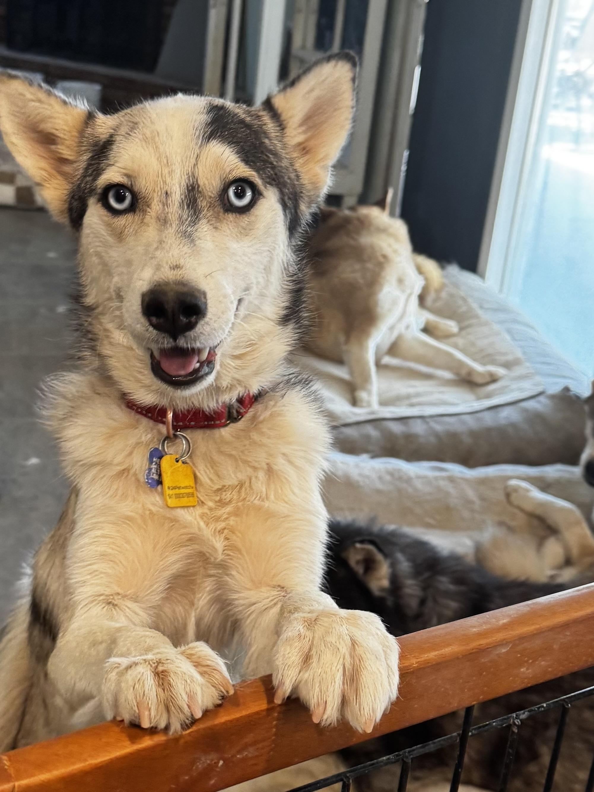 Joey Joseph thumbnail 2