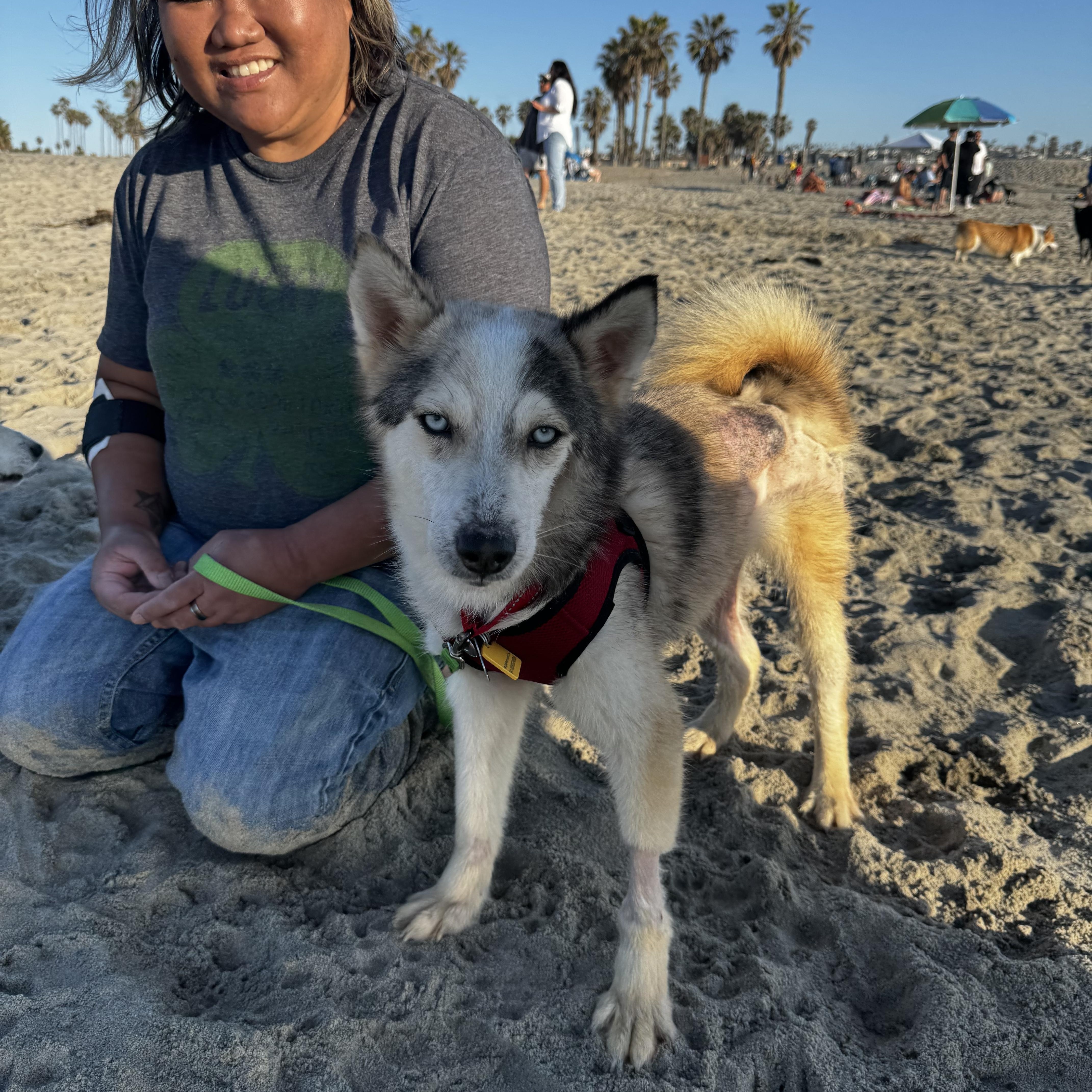 Joey Joseph thumbnail 3