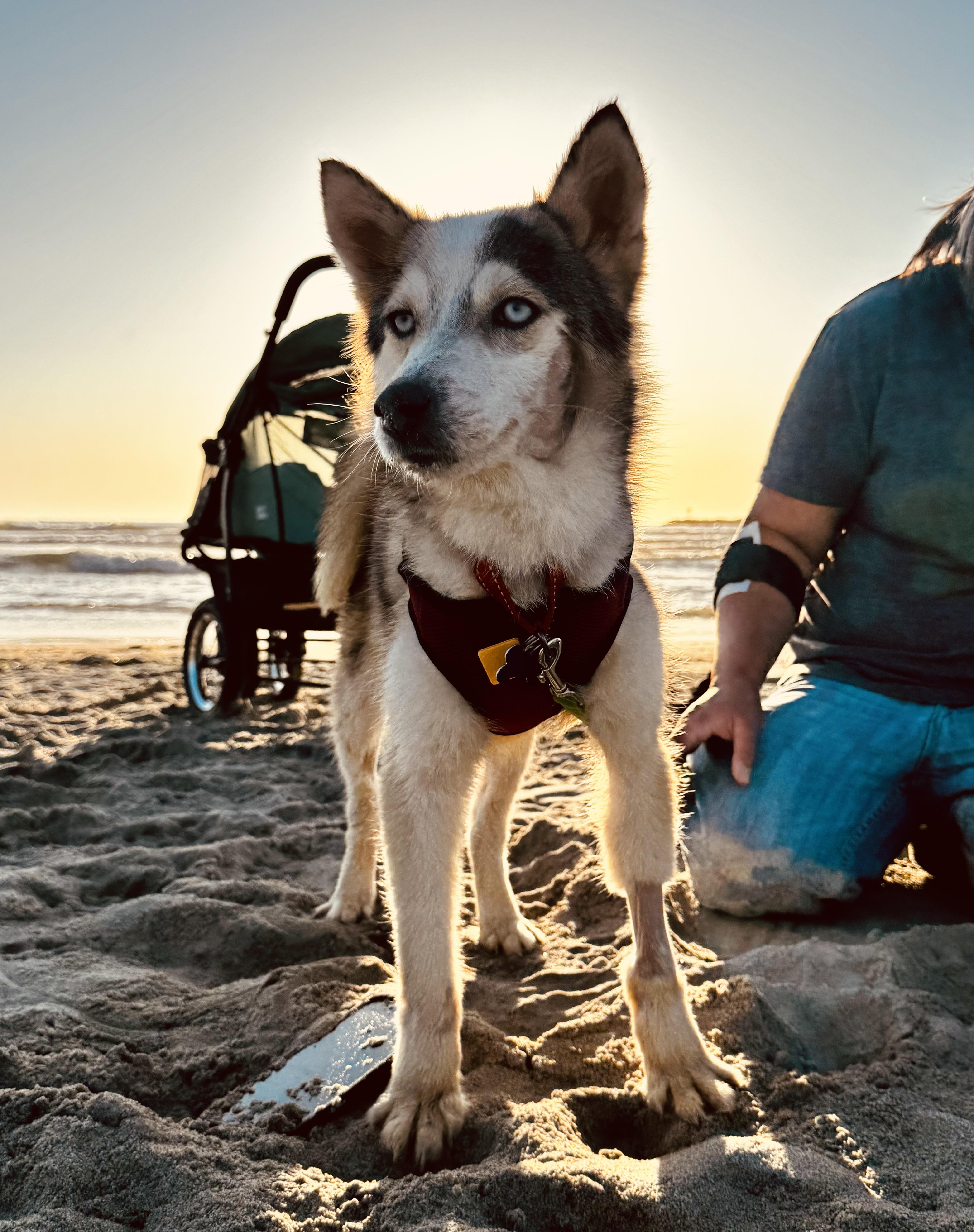 Joey Joseph thumbnail 5