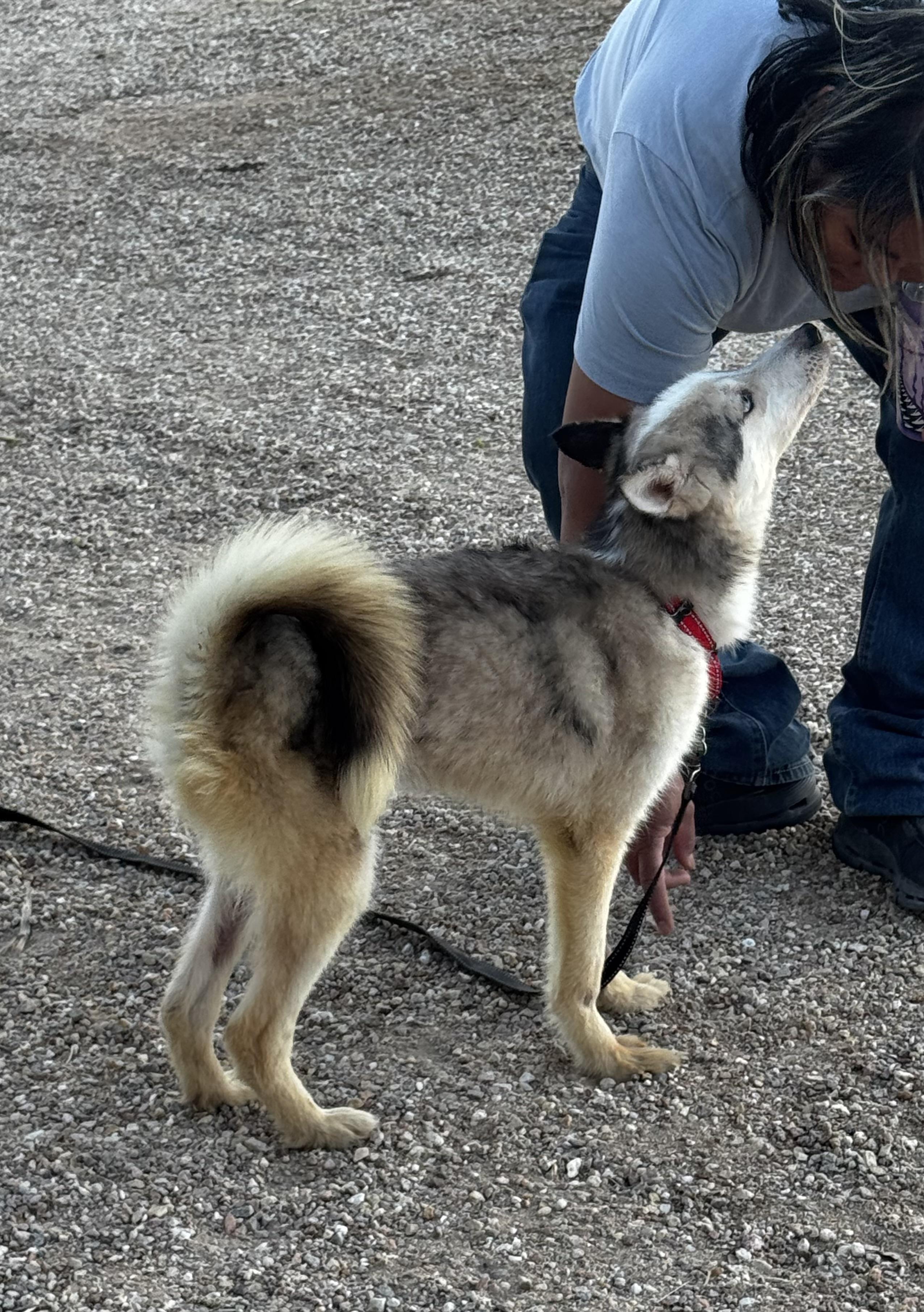 Joey Joseph thumbnail 7