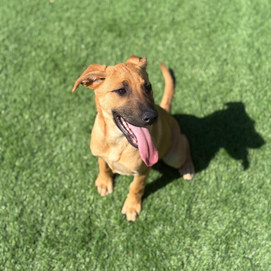 Thing 1 — thumbnail 2