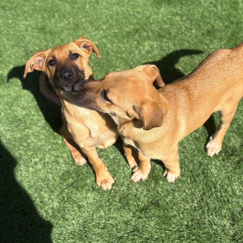 Thing 1 — thumbnail 4