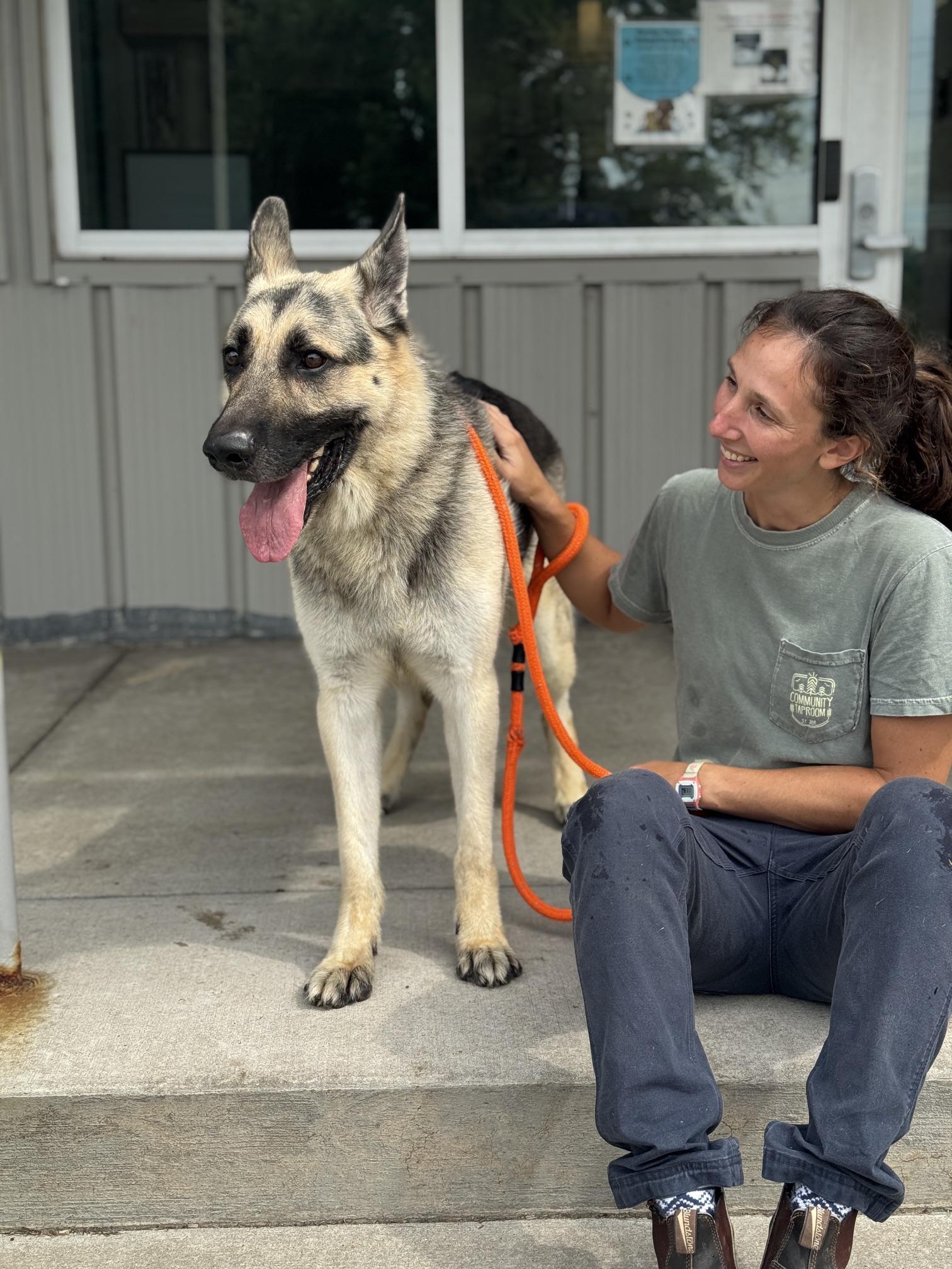 Enlarge Mylo, a Adoptable German Shepherd Dog in Benton Harbor, MI image 4/4