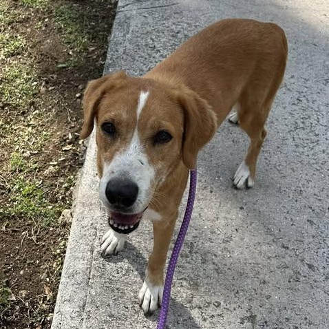 Miss Tammy (20260201-01)