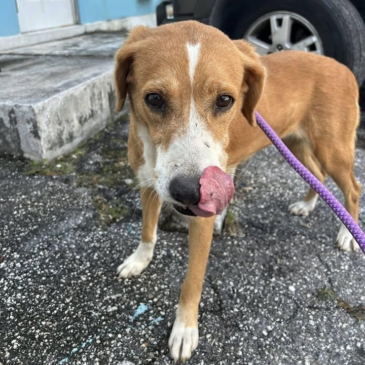 Miss Tammy (20260201-01) — thumbnail 2