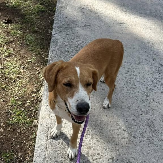 Miss Tammy (20260201-01) — thumbnail 3