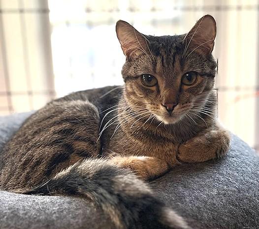 SAMMY