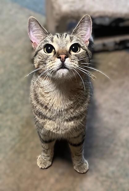 SAMMY