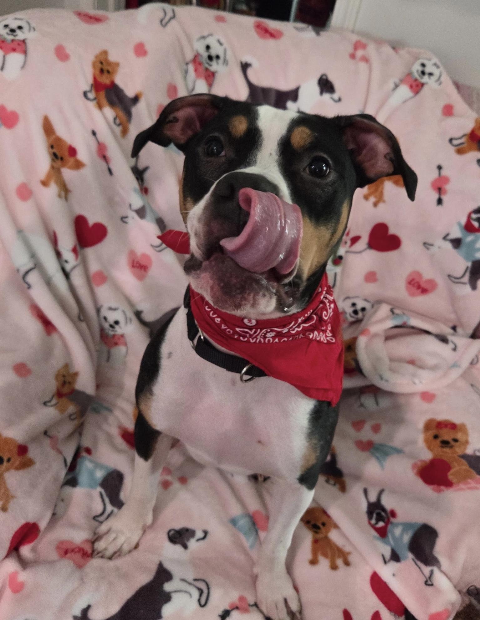 Snoop Dog thumbnail 4