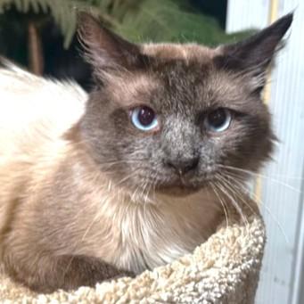 Captivating Carson! thumbnail 6