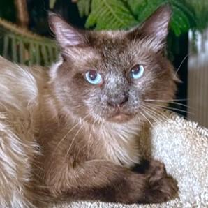 Captivating Carson! thumbnail 3