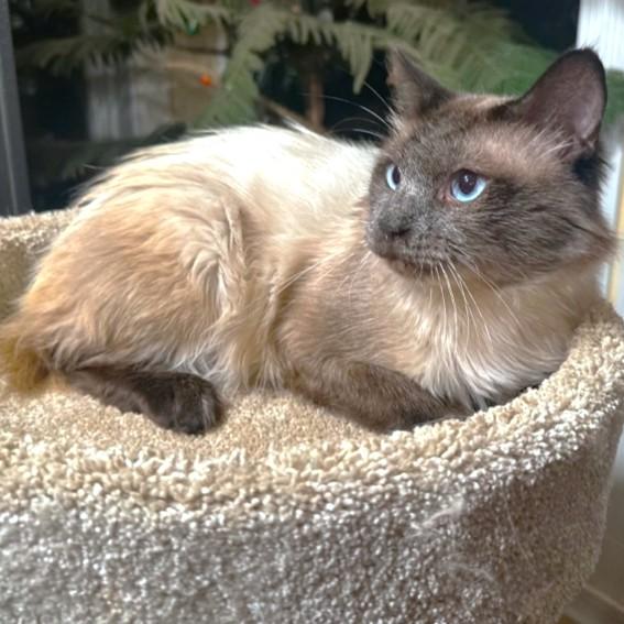 Captivating Carson! thumbnail 2