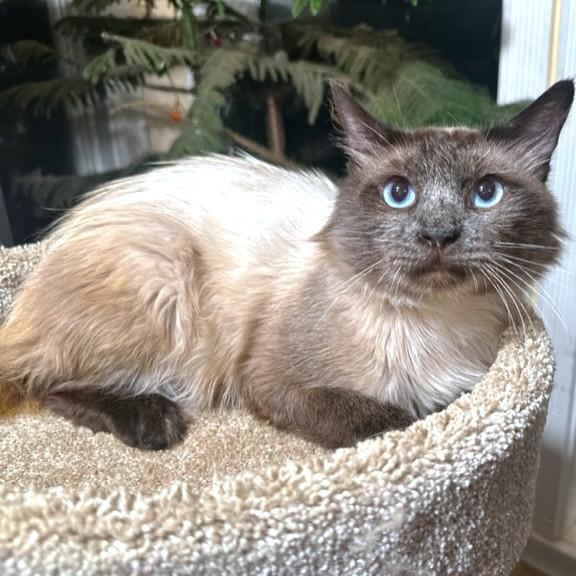 Captivating Carson! thumbnail 4