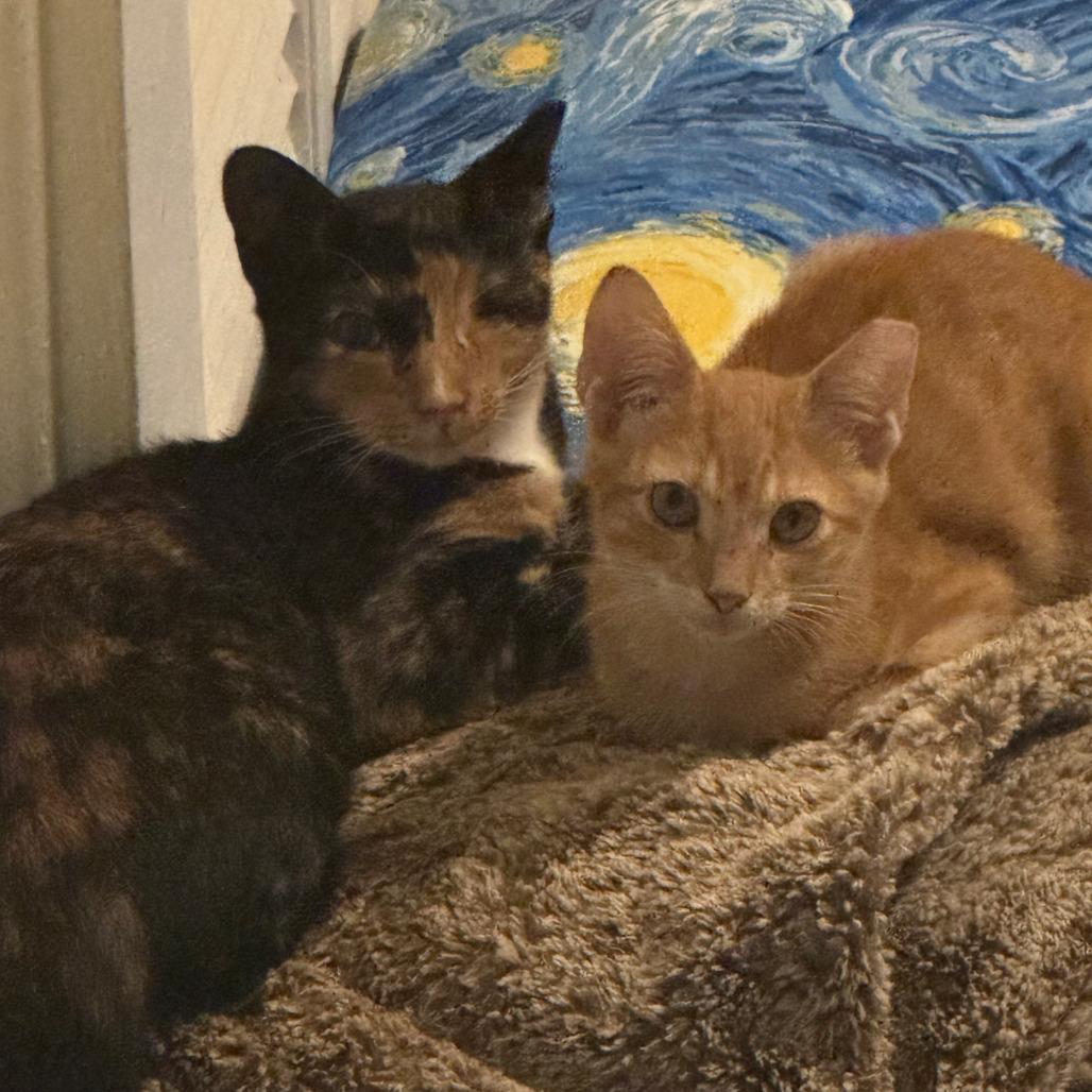 Lynnie — thumbnail 2