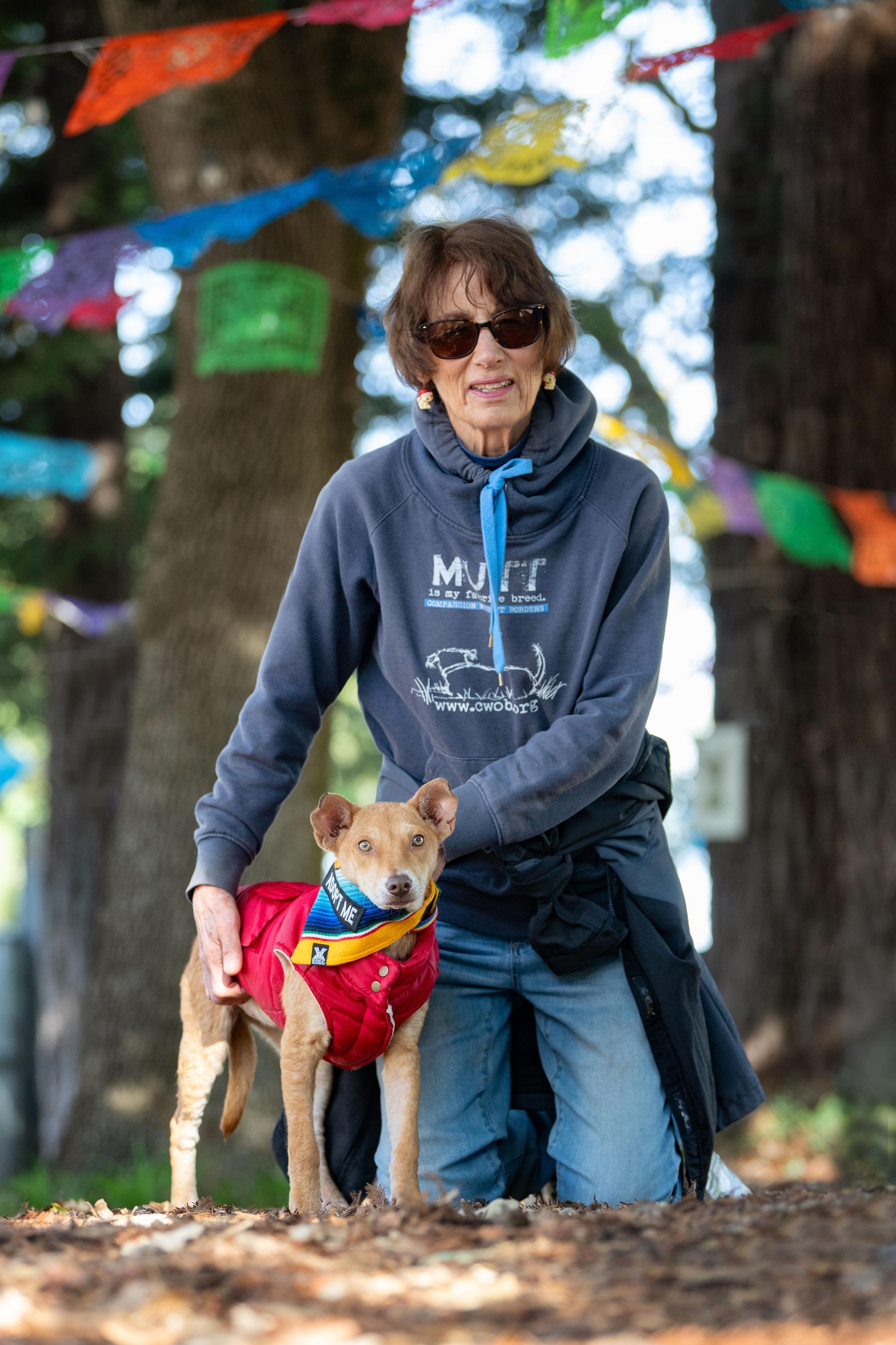 Enlarge Papaya, an adopted mixed breed in Santa Rosa, CA image 3/5
