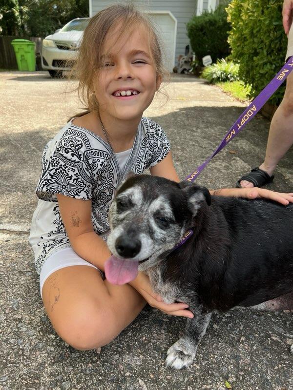 Shadow & Sandy Bonded thumbnail 2