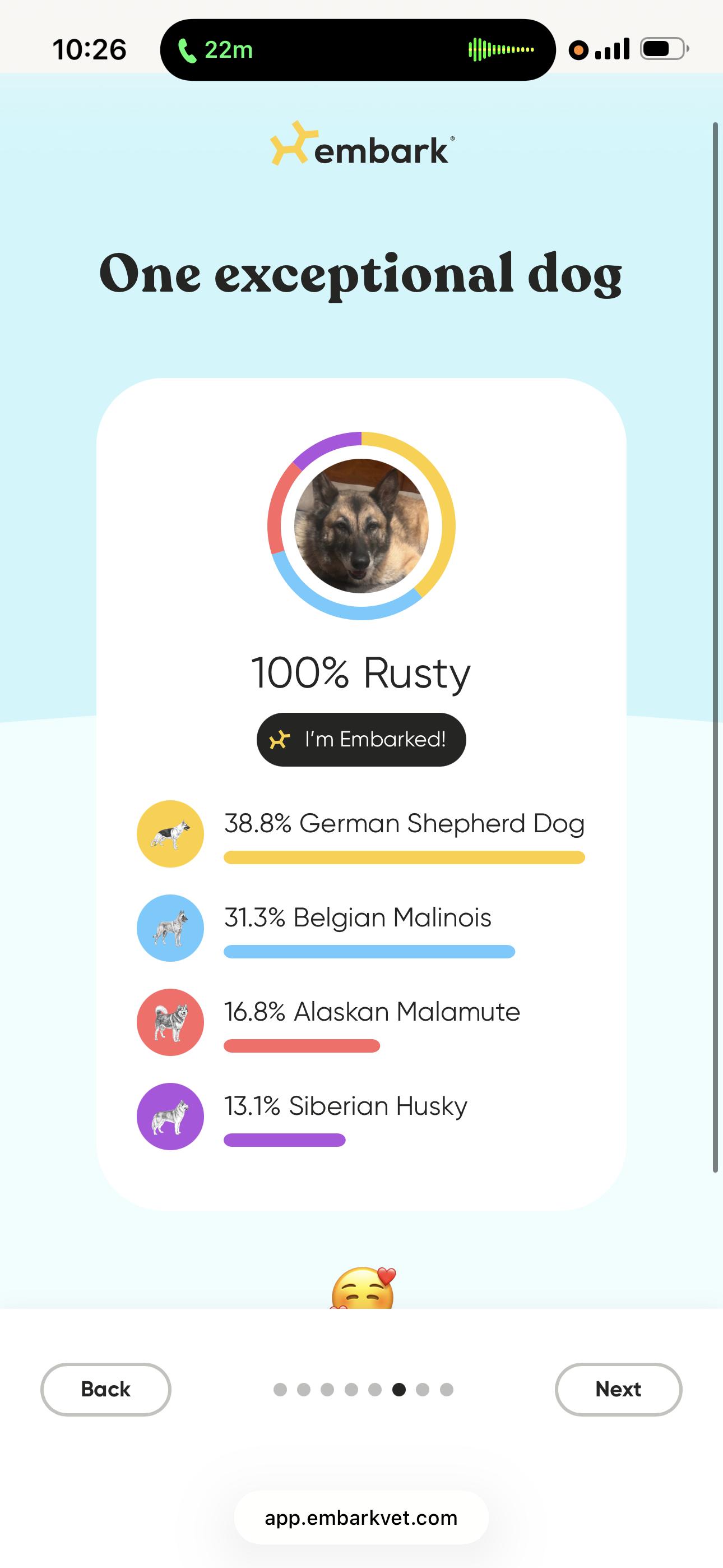 Enlarge Rusty, a Adoptable mixed breed in Oakland, CA image 6/6