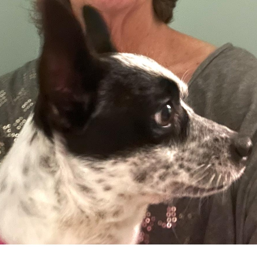 Fred - Good Hearted Boy 2