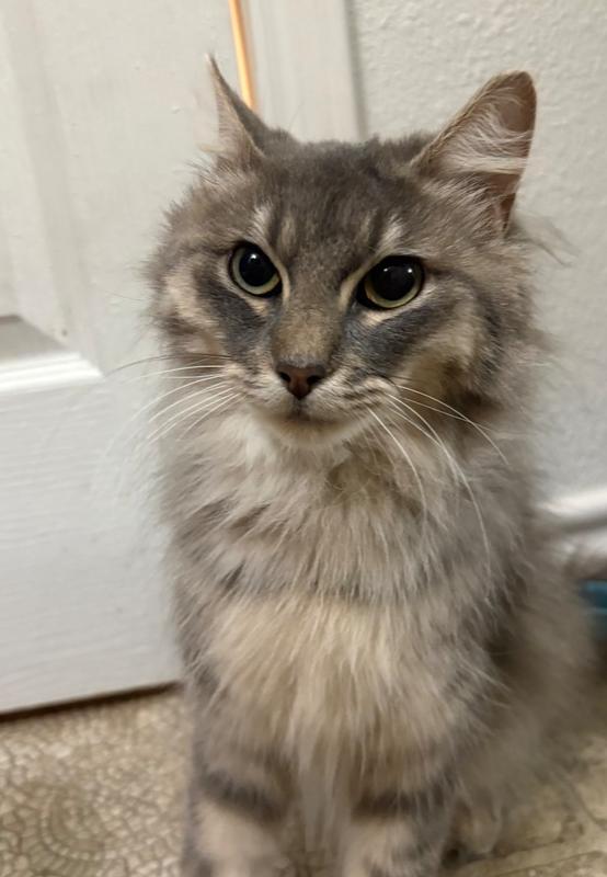 Kaia — thumbnail 3