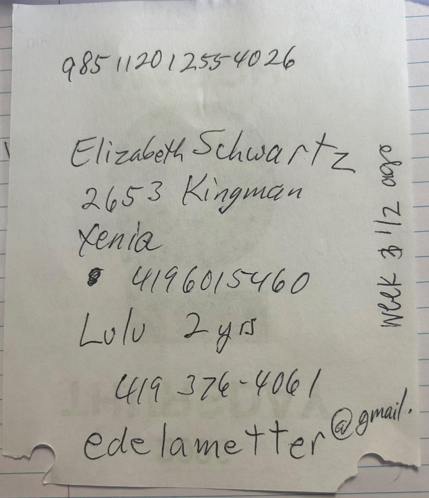 Enlarge Lulu, a Adoptable mixed breed in Springfield, OH image 1/2