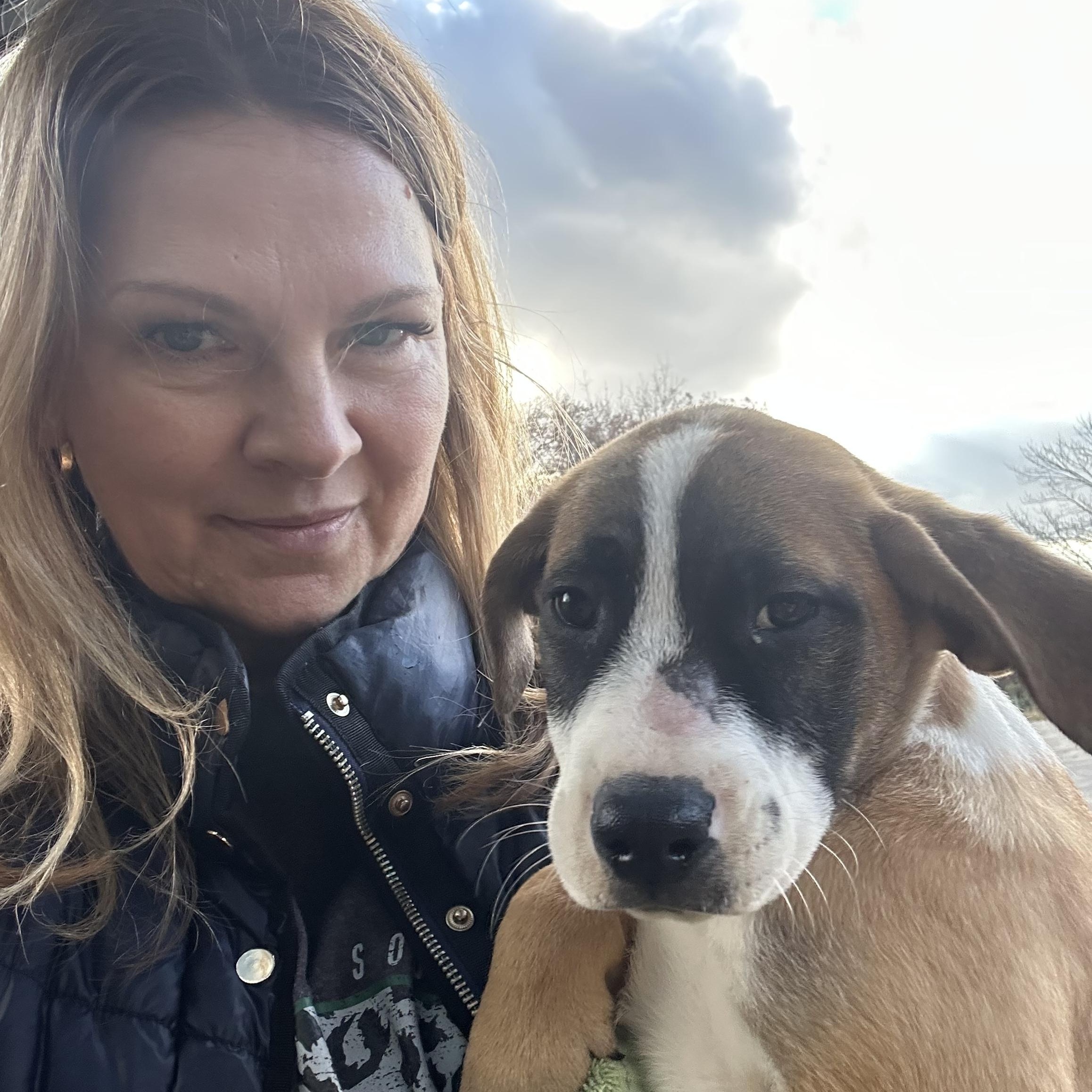 Enlarge Hiddi, a Adoptable mixed breed in Newfoundland, NJ image 4/6